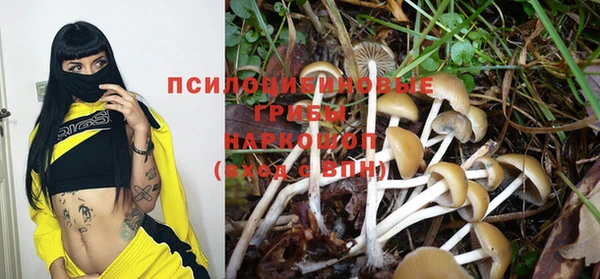 каннабис Алексеевка